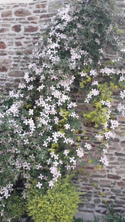 Au Pre Du Mont St Michel Holiday home Villiers-le-Pre